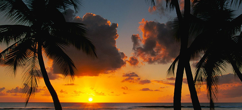 This is an example of a caption 云呼讨债神器软件